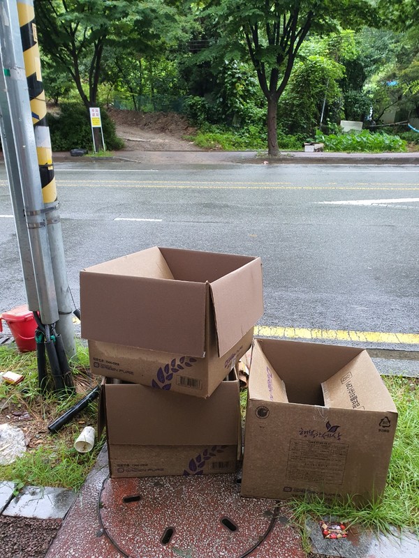 건지산에 입구에 버려진 빈 박스들.