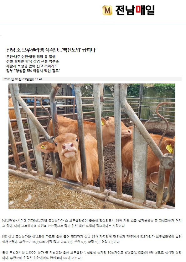 전남매일 8월 3일 기사(홈페이지 캡쳐)