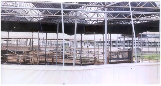 소 브루셀라병으로 폐농한 정읍의 한 축산 농장(자료 사진)