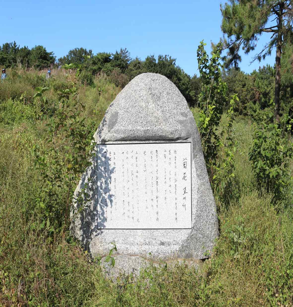     고창군 부안면 송현리 500 국화마을 뒷산 인근