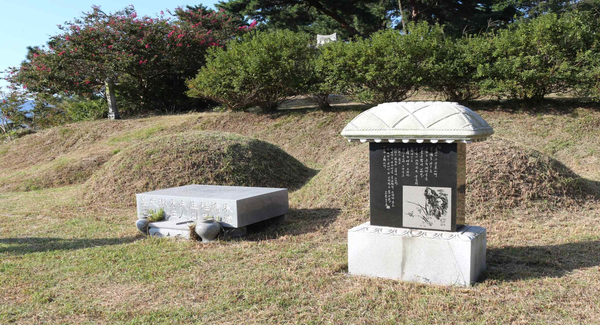 고창군 부안면 송현리 500 국화마을 뒷산 인근 