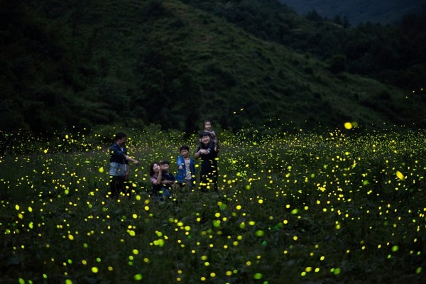 사진=무주군 제공