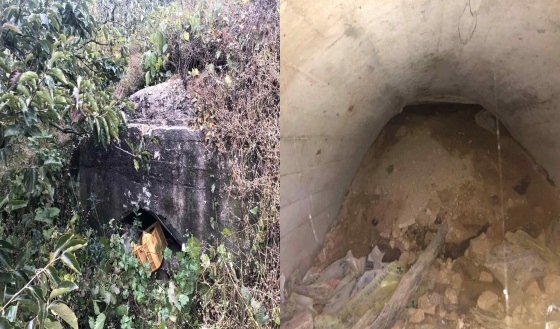 고창군 무장면 신촌리 산66-2