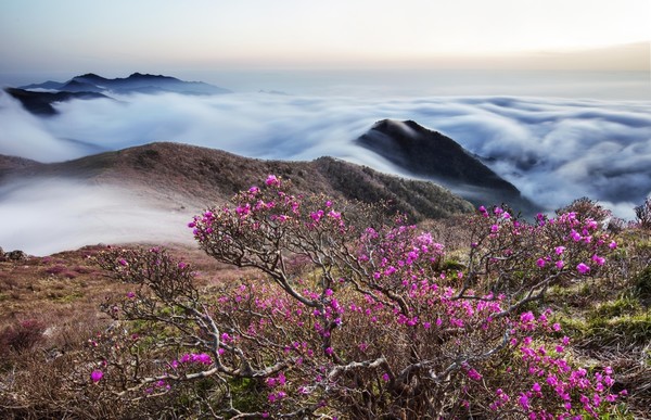 이윤승 작가 작품