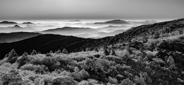 이윤승 작가 작품