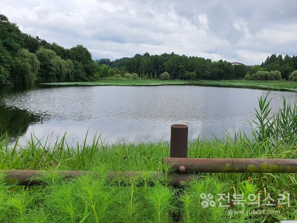 오송제 제방에 서면 한국소리문화의전당 지붕 끝이 아련히 보인다.  