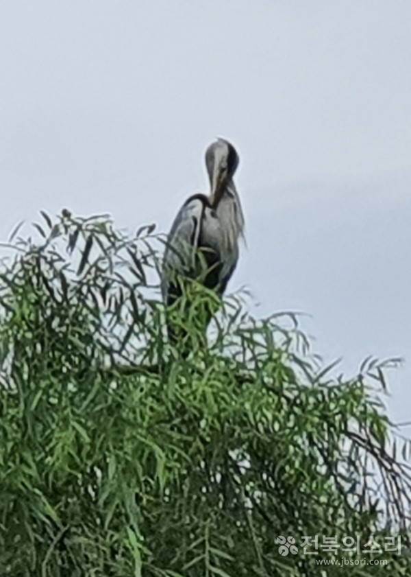 "제 모습 어때요?"