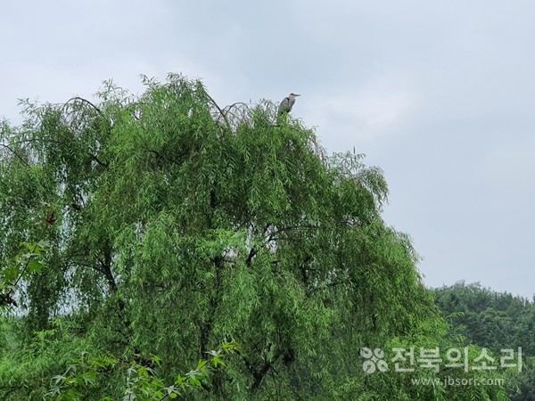 "왜갈 왜갈...가을이 와요"