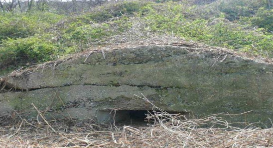 부안군 하서면 장신리 1125 