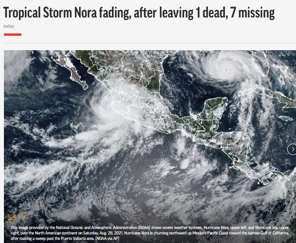 AP, Capture(2021. 8. 31)