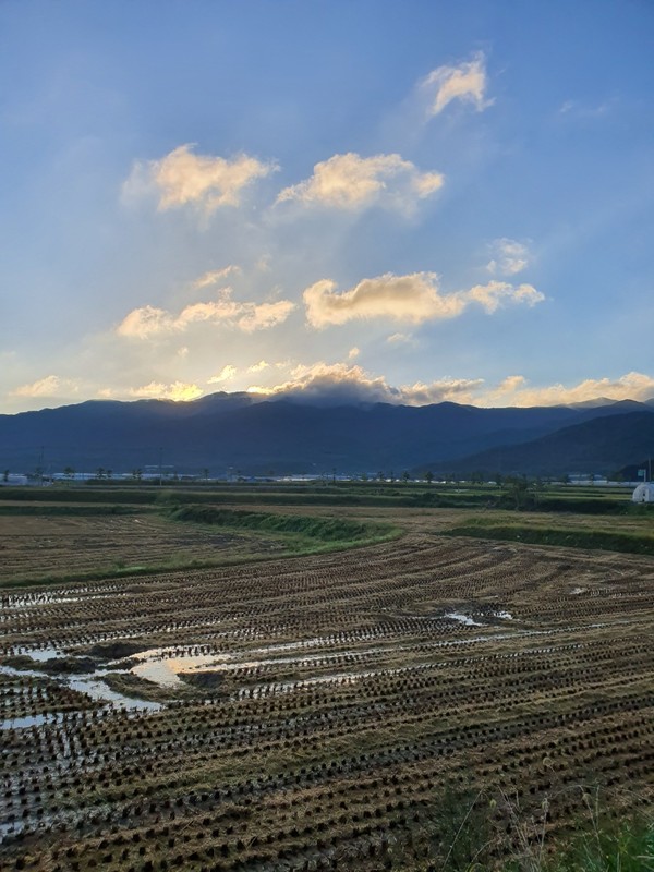                              수확이 끝난 텅 빈 논.