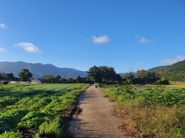 농촌 마을 입구,