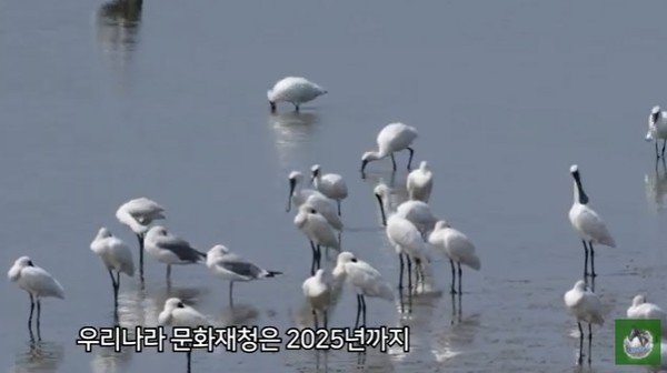 ‘새만금신공항백지화공동행동’이 갯벌의 생태적 가치 문제, 전라북도의 잘못된 수요 예측, 경제효과 부풀리기 등 문제를 제기하고 있는데 대해 지역 언론들은 주홍글씨부터 찍고 있다.