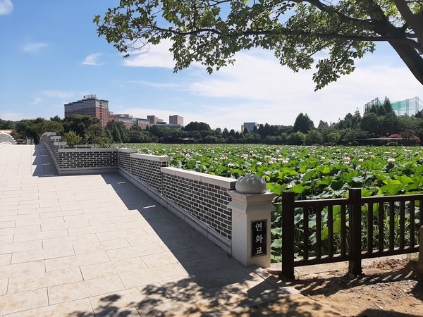               덕진공원 전경(전주시 제공)