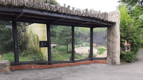        전주동물원 내부 모습(전주시 제공)