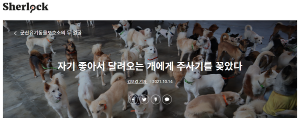 '셜록' 홈페이지 캡쳐