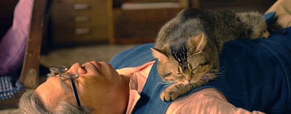 '고양이와 할아버지' 스틸 컷