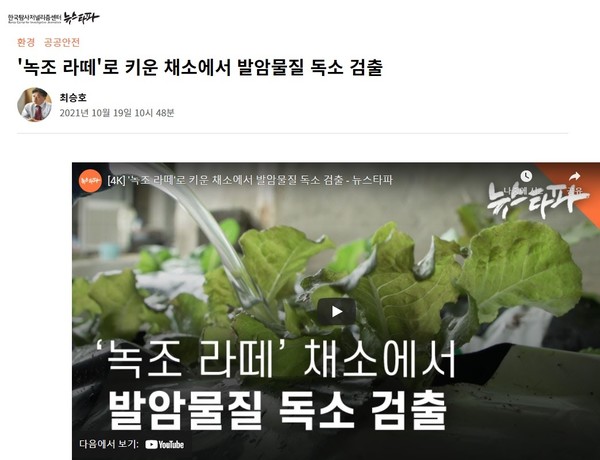 10월 19일 뉴스타파 홈페이지 보도 화면 편집