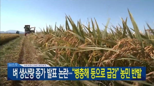 2021년 11월 16일 KBS전주총국 뉴스9 보도 화면 편집