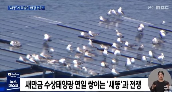 전주MBC 8월 10일 보도(화면 캡쳐)