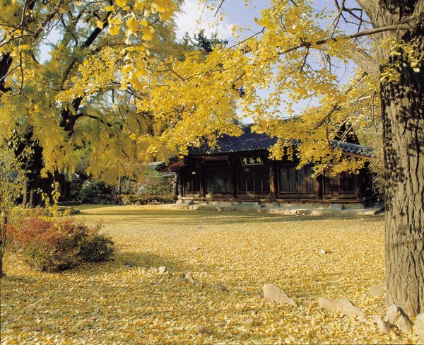 전주향교 전경(전주시 제공)