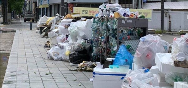 전주시 곳곳에 쌓인 쓰레기