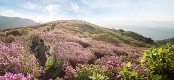 영화 '고산자, 대동여지도' 중에서 스틸 컷