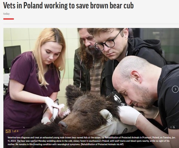 AP, Capture(2022.1.12)