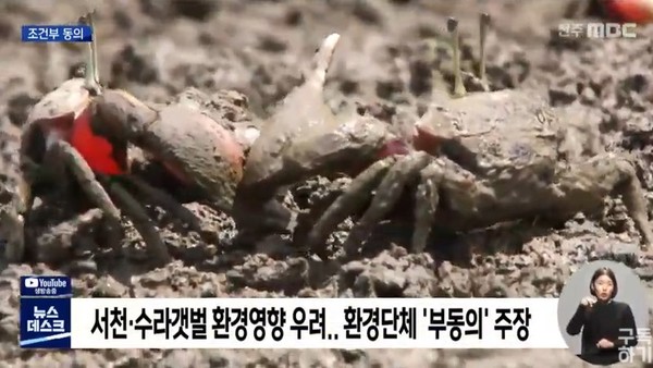 전주MBC 3월 2일 보도(화면 캡처)