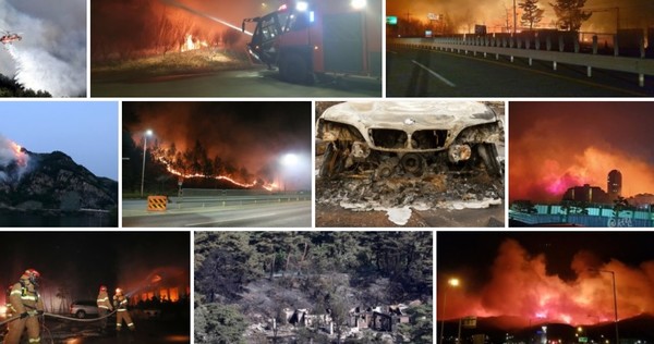 언론사들의 산불 화재사고 속보 경쟁 기사들 중 사진 갈무리