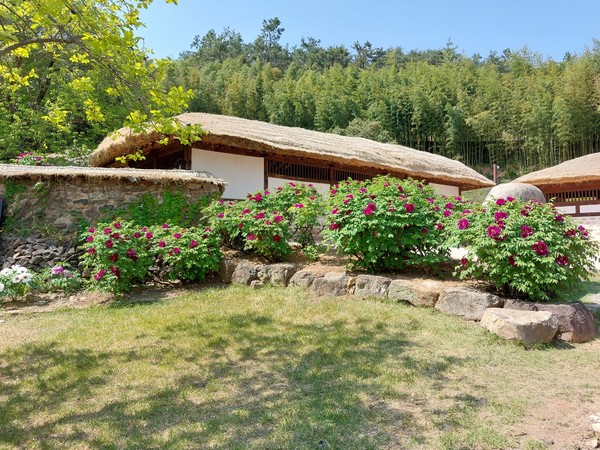 영랑 시인 생가 정원