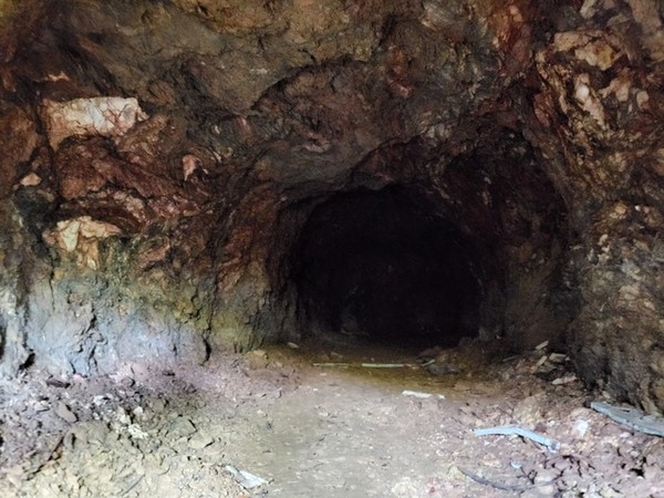 군산대 캠퍼스 내에서 발견된 인공동굴.(사진=군산대 제공)