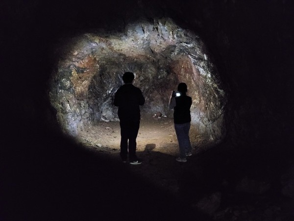 군산대 캠퍼스 내 인공동굴을 확인하고 있는 군산대 연구진들.(사진=군산대 제공)