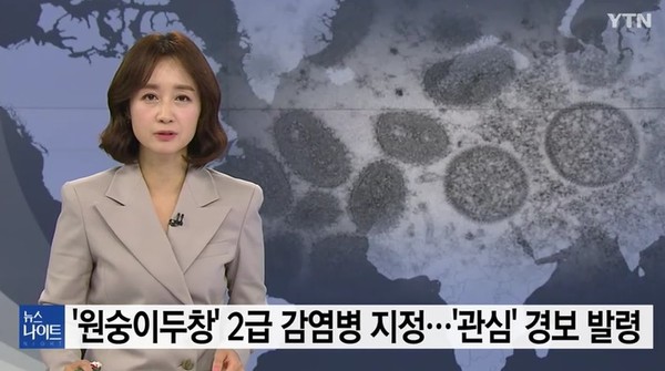 YTN 5월 31일 뉴스 화면 캡처
