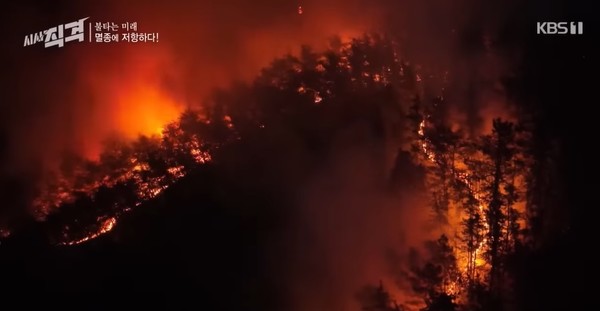 KBS 1TV ‘시사 직격’ 6월 17일 방송 화면(캡처)