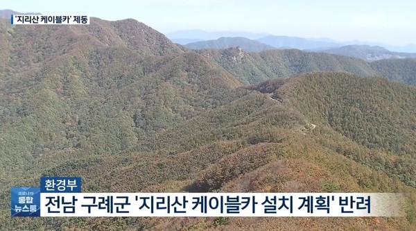 KBS 6월 9일 뉴스(화면 캡처)