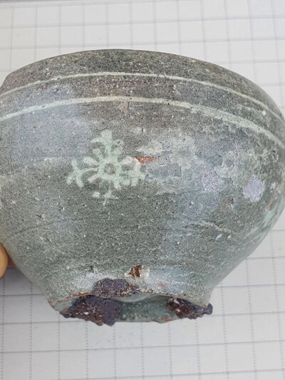 사진=새만금신공항백지화공동행동 제공