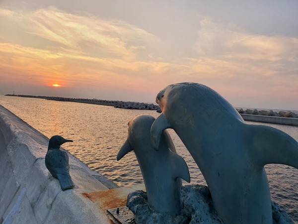 돌고래와 바다새도 석양의 붉은 노을에 심취해 있다.