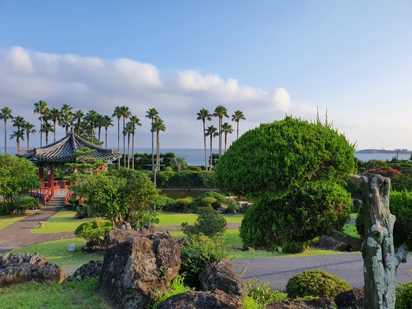 호텔 정원과 바다.