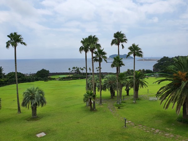 호텔에서 마주보이는 서귀포 앞바다 풍경.