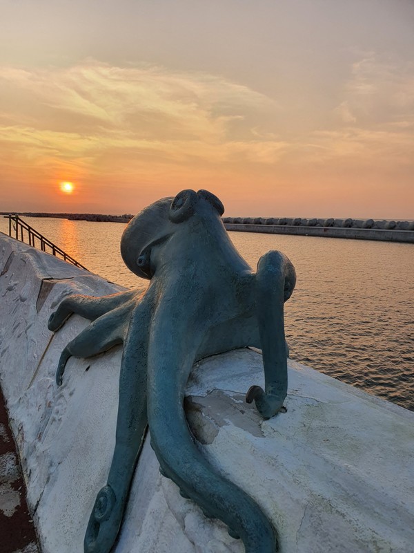 해안 도로 옆 올레길에서 마주한 낙지 동상과 석양 노을.