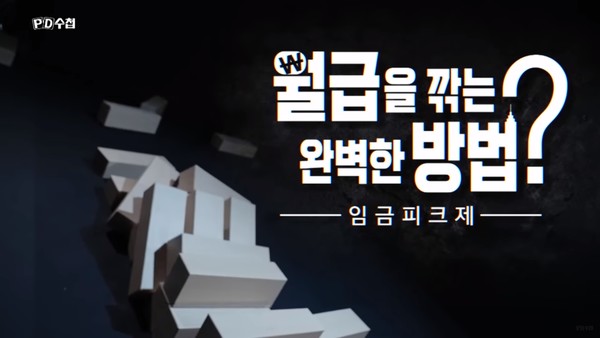 7월 26일 방송된 MBC PD수첩 ‘월급을 깎는 완벽한 방법? 임금피크제’(화면 캡처)