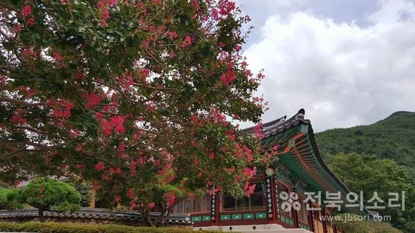 화엄사 입구에서부터 반겨주는 화사한 배롱나무꽃들.