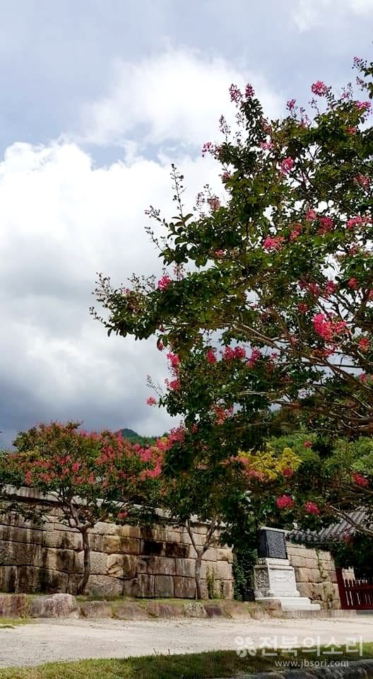 사찰 내부를 환하게 해주는 한여름 배롱꽃.