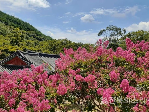 '세속적 욕망과 번뇌를 벗어 버리고 수행에 전념하라'는 소중한 의미를 지니고 있는 배롱나무.