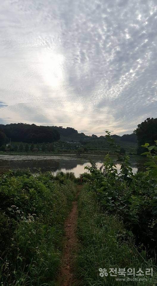            도심 허파 역할을 톡톡히 하는 오송제 주변.