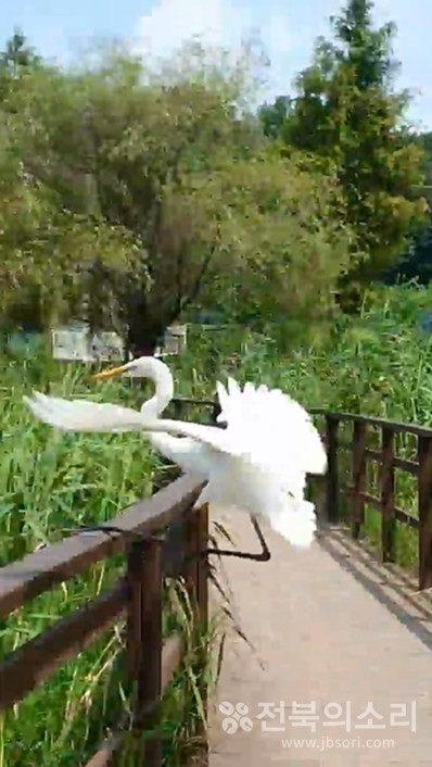 자, 그럼 이제부터 호수를 바라보며 본격적인 사색을 해볼까? 