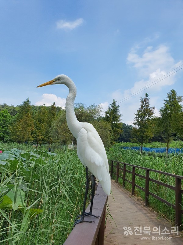                        깊은 생각에 빠진 오송제 선비.