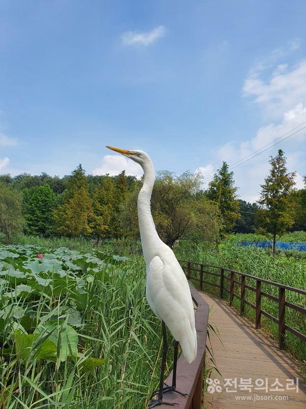                        무엇을 찾는 것일까, 누구에게 신호를 보내는 것일까.