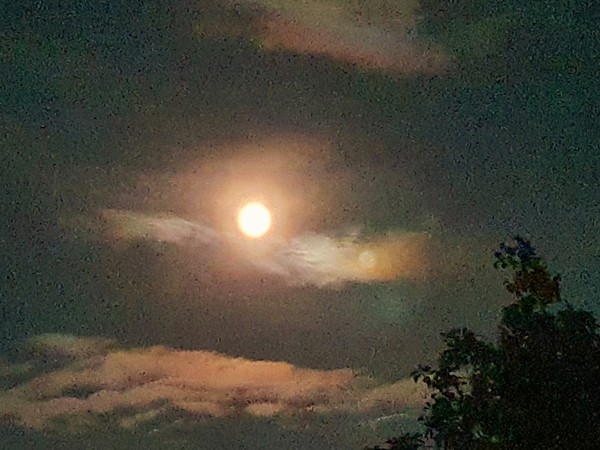 구름 사이로 얼굴을 드러낸 보름달.